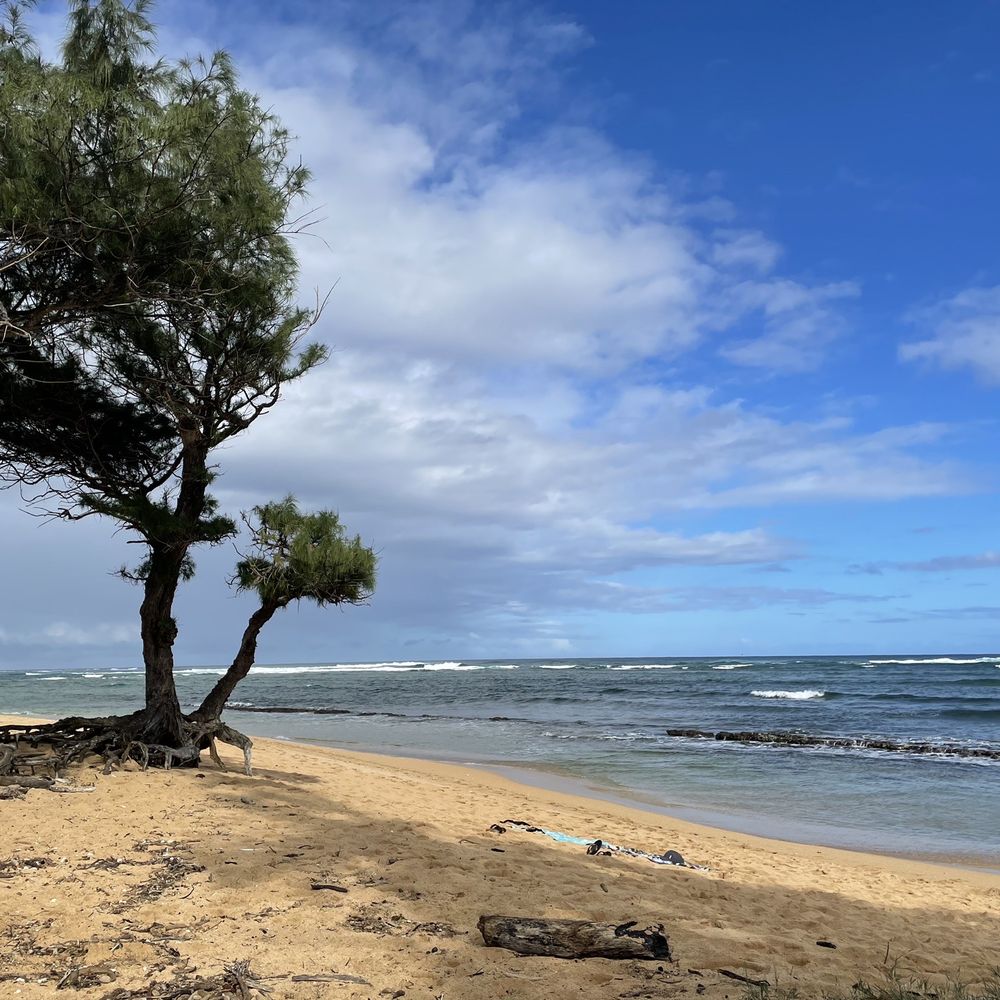 Baby Beach - Baby beach - Beaches Near Me