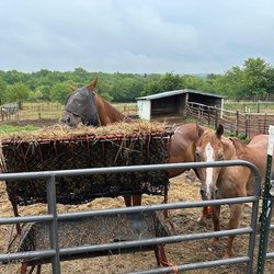 Kill Creek Arena & Stable - Paddock.
