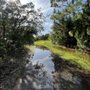 Photo of Island Pioneer Trail