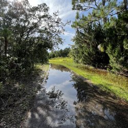 Island Pioneer Trail - Trail has some flooding from storm last night (7/25/2023)