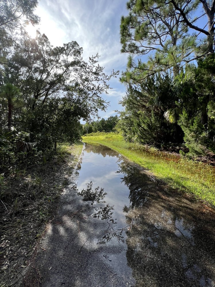Island Pioneer Trail Image