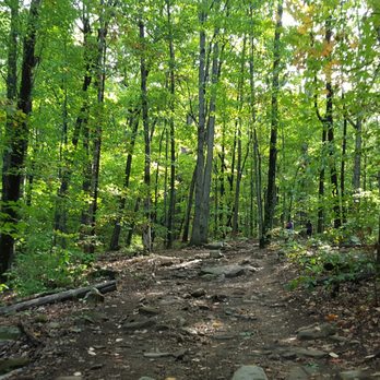 Mount Yonah Trailhead - Hiking Near Me - Cleveland, Georgia Mount Yonah Trailhead - Hiking Near Me - Cleveland, Georgia