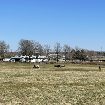 Denali Stud - Farms Near Me - Paris, Kentucky Denali Stud - Farms Near Me - Paris, Kentucky