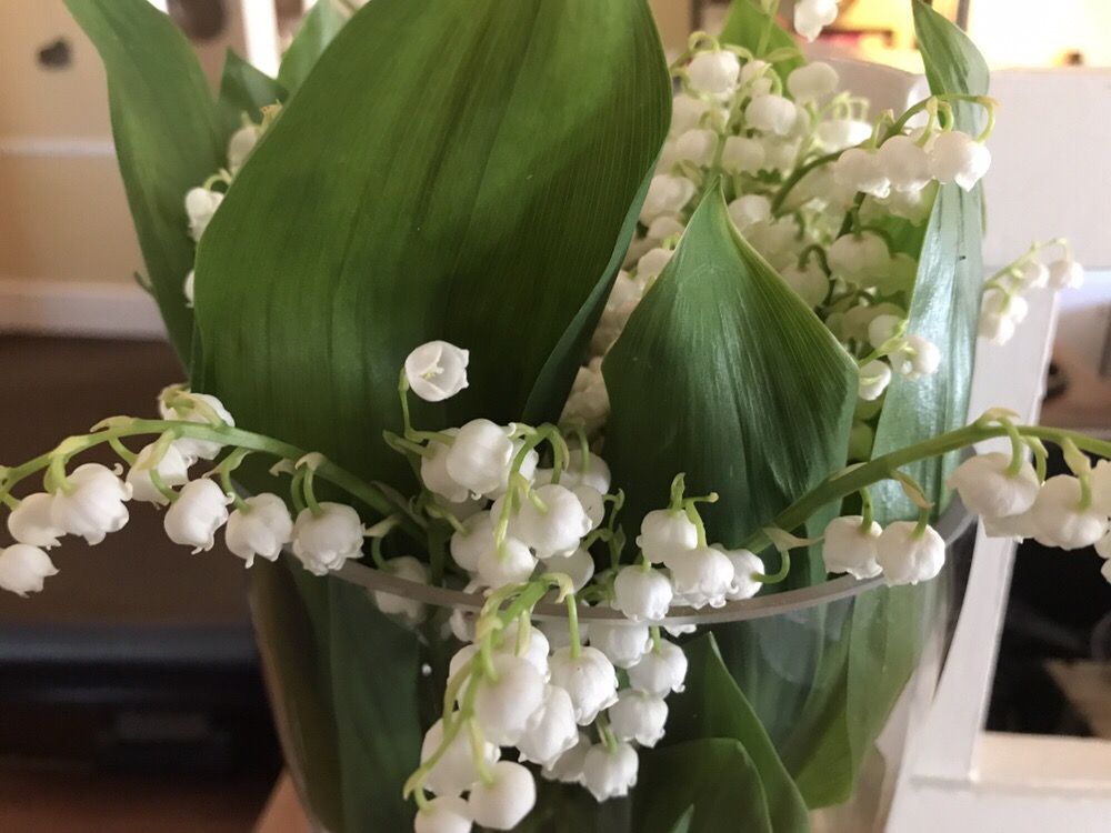 FOUNDATION CHURCH Updated March 2024 12400 Ohio 56, Mount Sterling