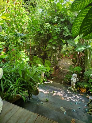 Manoa Valley Inn by null