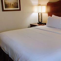 King Bed Rm 402 11-28-2024