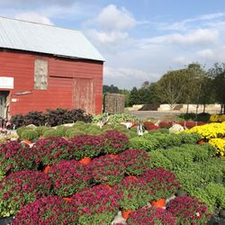 Aquatic Resource Restoration - Can you spot some garden friends in this picture?