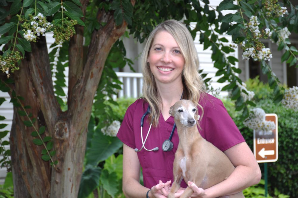 SOUTHSIDE ANIMAL HOSPITAL Updated October 2024 77 Photos & 68