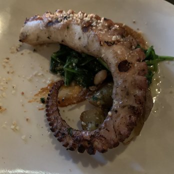 AV - Octopus - Bars Near Me - Scranton, Pennsylvania