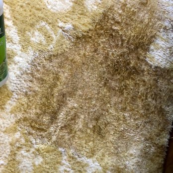 Long Island Rug Cleaning - Carpet Cleaning Near Me Long Island Rug Cleaning - Carpet Cleaning Near Me