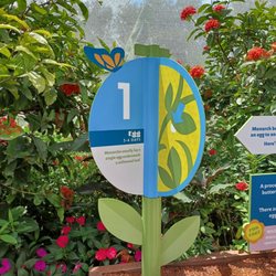 Bambi's Butterfly House