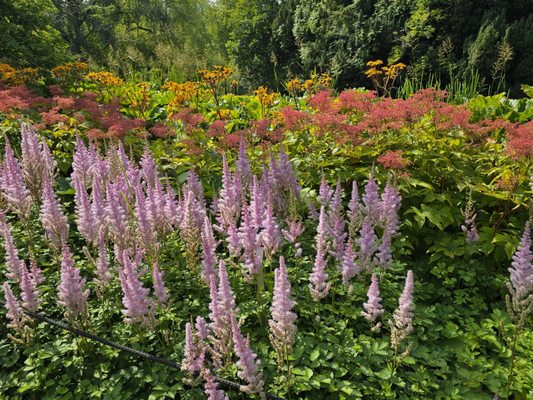 Royal Botanic Garden Edinburgh by null