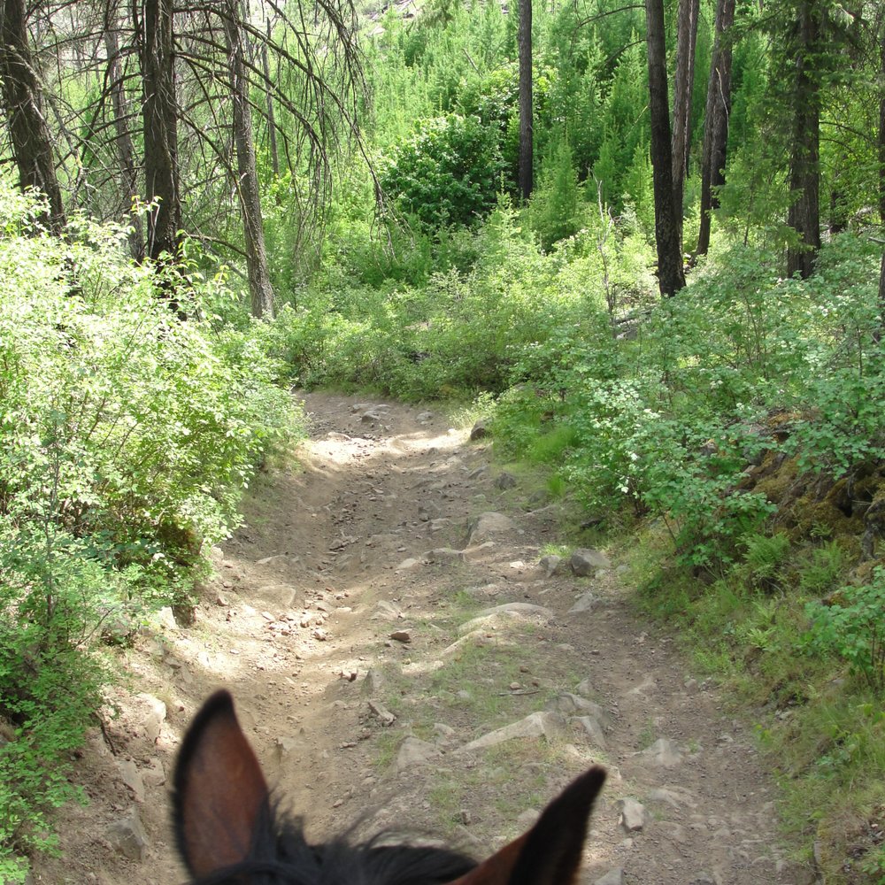 Riverside State Park - 25 mile trail. Nearest trailer parking for horses is at Inland and Marchand Rd. - Parks Near Me - Spokane, Washington Riverside State Park - 25 mile trail. Nearest trailer parking for horses is at Inland and Marchand Rd. - Parks Near Me - Spokane, Washington