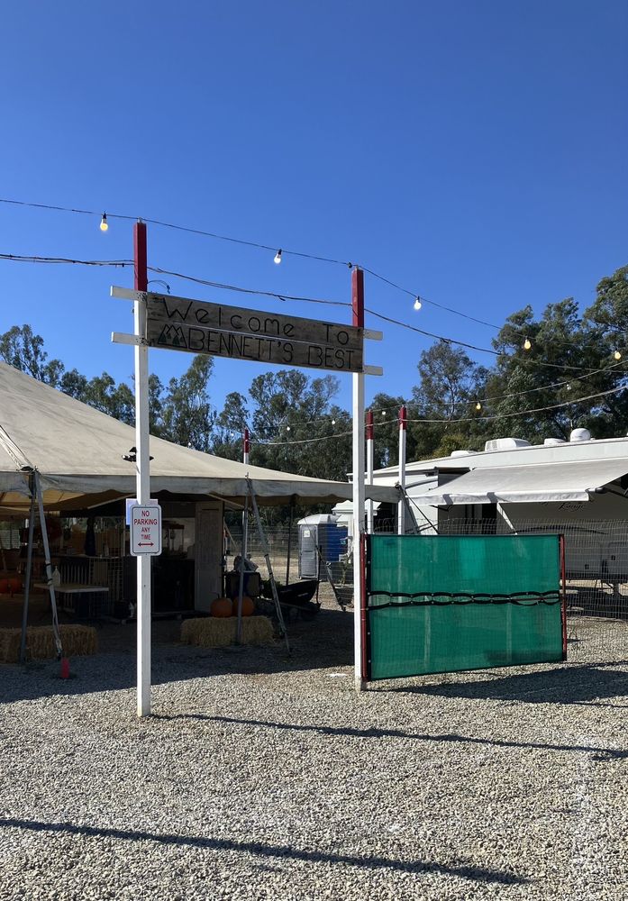 BEST CHRISTMAS TREES & PUMPKINS TEMP. CLOSED Updated