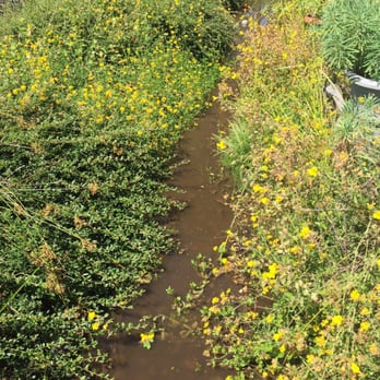 NW Pond Services - Dirty stream bed - Landscaping Near Me NW Pond Services - Dirty stream bed - Landscaping Near Me