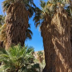 Coachella Valley National Wildlife Refuge