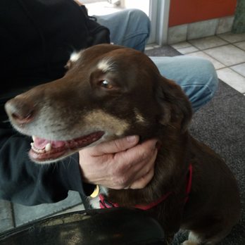 Jiffy Lube - Getting an oil change with my best girl. - Oil Change Stations Near Me - Reno, Nevada Jiffy Lube - Getting an oil change with my best girl. - Oil Change Stations Near Me - Reno, Nevada