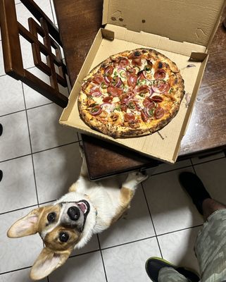 Hugo's Pizza by null