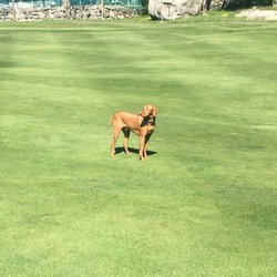 Bass Rocks Golf Club