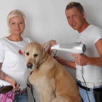 Dogdresser - Pet Groomers Near Me - Hamburg, HH Dogdresser - Pet Groomers Near Me - Hamburg, HH