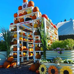 Lee Farms - Pumpkin House at Lee Farms
