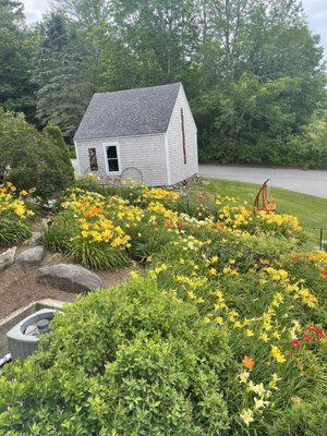 Cellardoor Winery by null