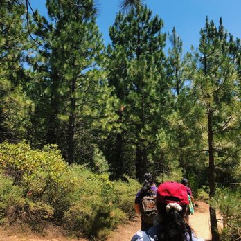 Bassi Falls - Start of trail w/ beautiful trees - Hiking Near Me - Placerville, California