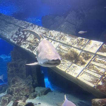 LONG ISLAND AQUARIUM - Updated March 2025 - 1149 Photos & 329 Reviews