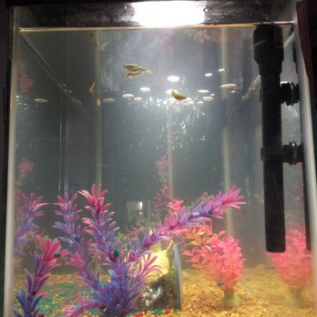 Petco - Pet Stores Near Me - Westminster, California Petco - Pet Stores Near Me - Westminster, California
