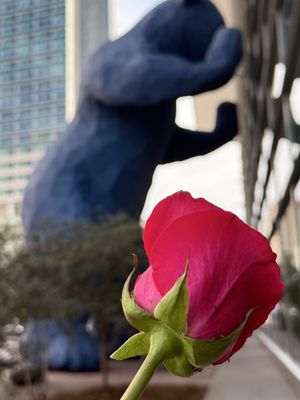 Colorado Convention Center by null