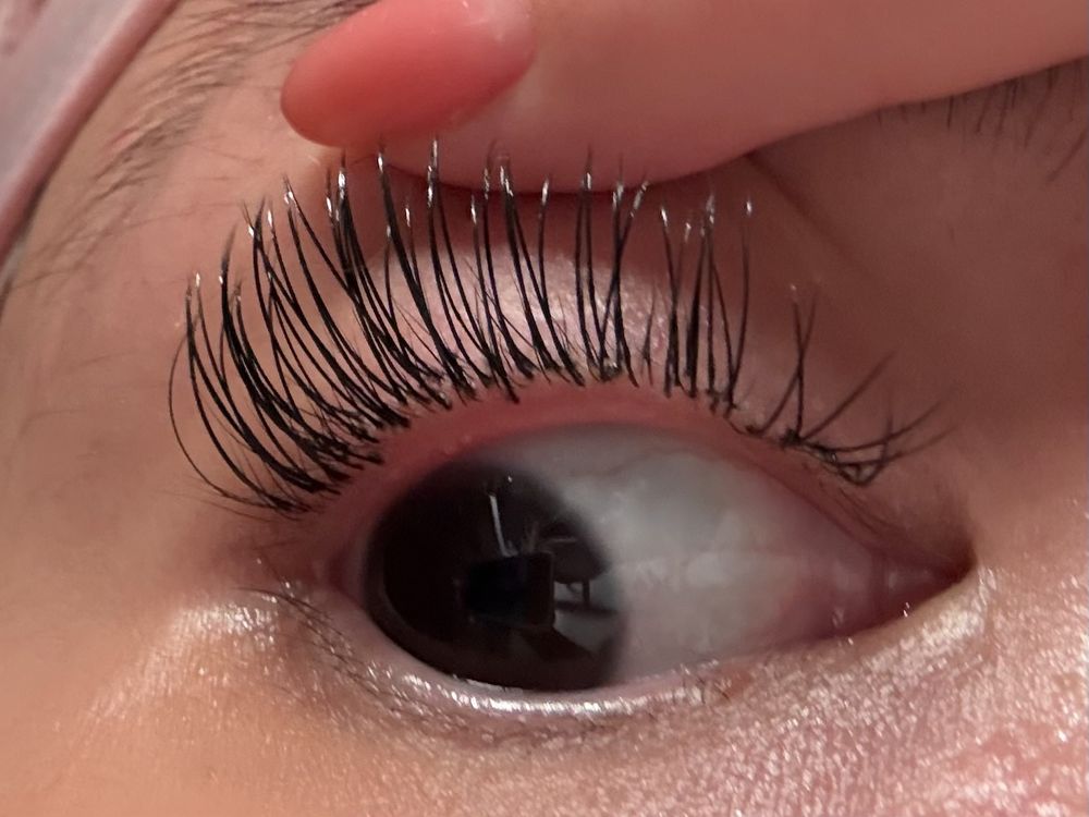 Luscious Lashes by Tammy