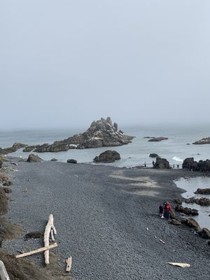 Yaquina Head Lighthouse by null
