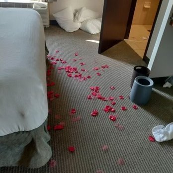 Hyatt Place Chesapeake/Greenbrier - Rose petals on the floor. Again not that hard to clean! - Hotels Near Me - Chesapeake, Virginia
