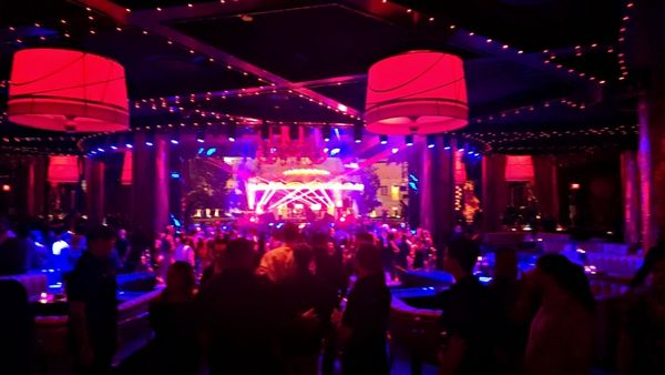 Intrigue Nightclub by null