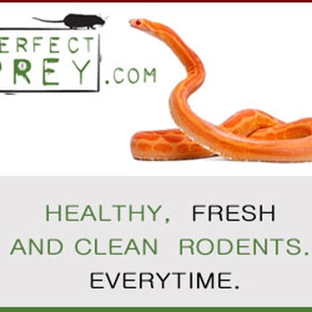 Perfect Prey - Pet Services Near Me - Loxahatchee, Florida Perfect Prey - Pet Services Near Me - Loxahatchee, Florida