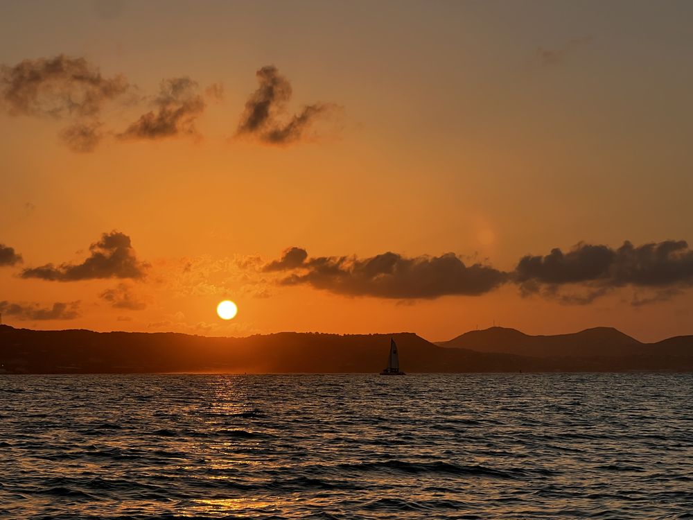 Down South Charters Logo