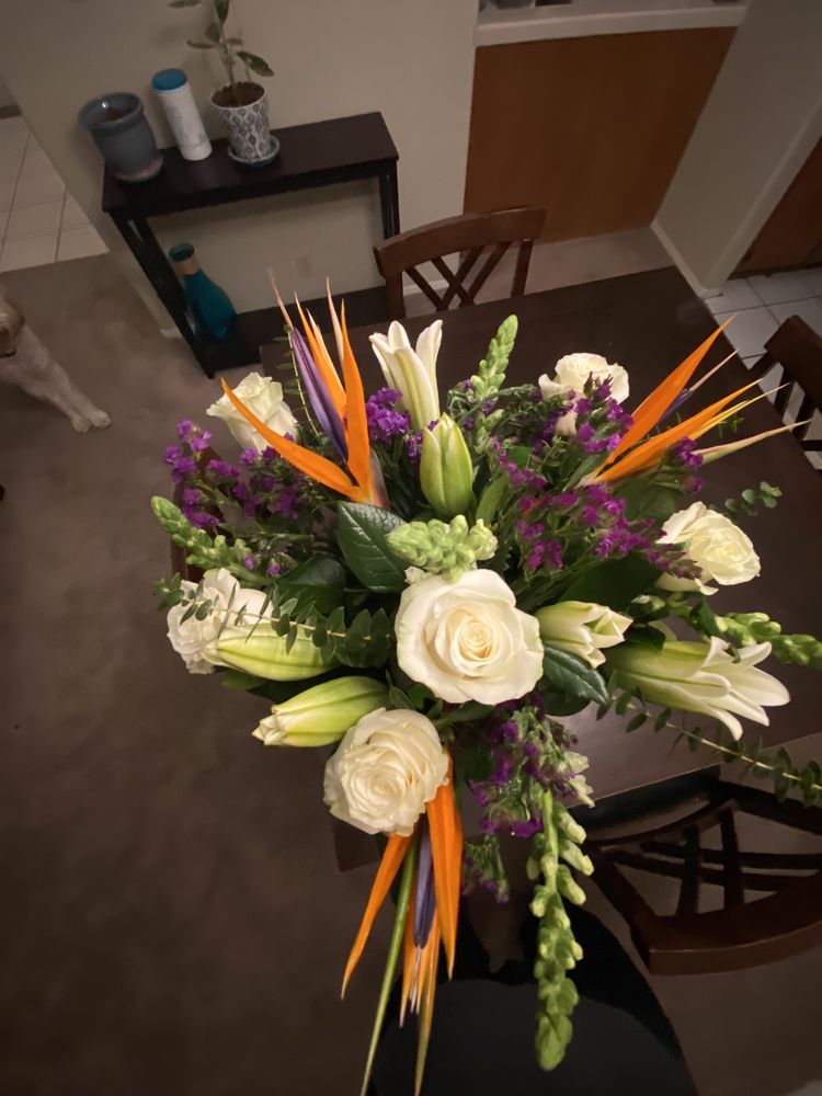 EXOTIC FLORIST Updated September 2024 117 Photos & 32 Reviews 310 Gass Ave, Las Vegas
