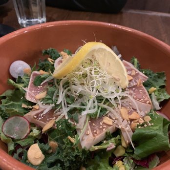 Green Leaf Cafe - Tuna aburi salad - Sushi Bars Near Me - Burnaby, British Columbia Green Leaf Cafe - Tuna aburi salad - Sushi Bars Near Me - Burnaby, British Columbia