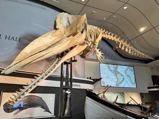 Nantucket Whaling Museum by null