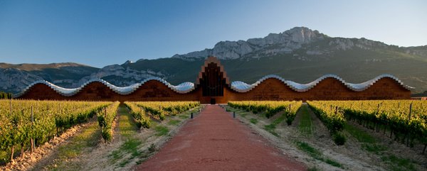 Rioja Wine Tours by null
