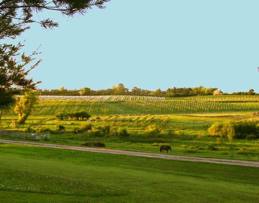 TUCKER’S WALK VINEYARD AND FARM WINERY Updated August 2024 48348