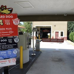 Top Dog Express
