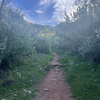 Cozy Dell Trail - Hiking Near Me - Ojai, California