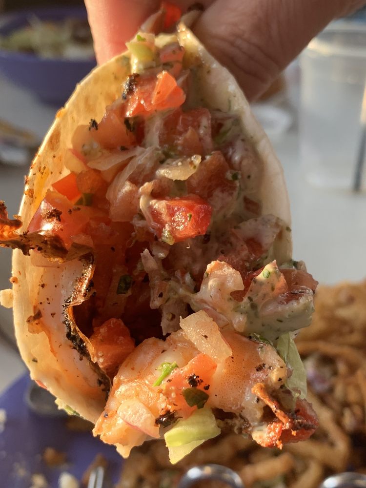 DOLPHIN TIKI BAR & GRILL Updated August 2024 531 Photos & 660