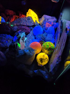 Electric Ladyland - Museum of Fluorescent Art by null