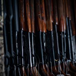 Tallahassee Gun & Pawn - Rifles and shotguns