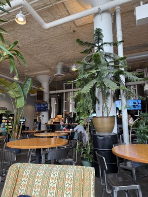 BlackStack Brewing by null