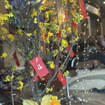 Palace Nail & Spa - Chinese new year - Nail Salons Near Me - Arlington, Texas Palace Nail & Spa - Chinese new year - Nail Salons Near Me - Arlington, Texas
