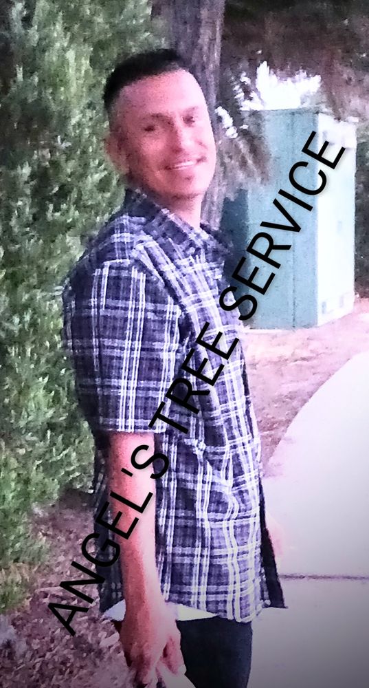 Angel's Tree Service - tree service in Encinitas, CA