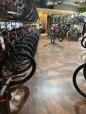 jax bicycles near me